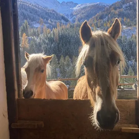 Séjour à la ferme Ferienwohnungen-lippenhof Sankt Jakob in Defereggen