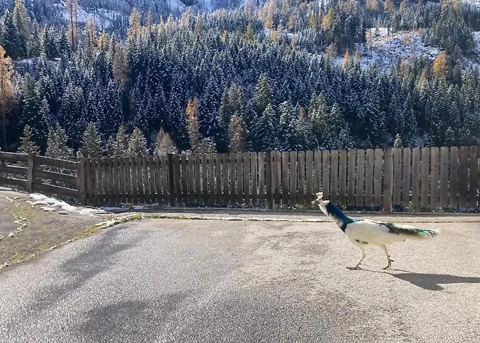 Ferienwohnungen-lippenhof Sankt Jakob in Defereggen