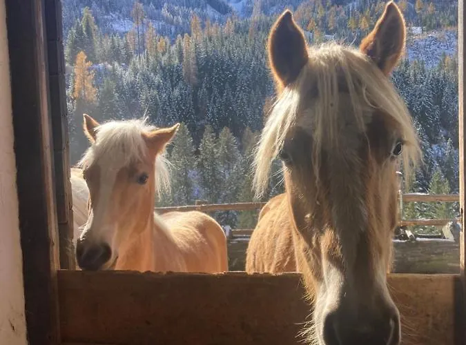 Farma Ferienwohnungen-lippenhof Sankt Jakob in Defereggen